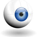 Eye